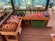 井上農園の新鮮野菜の直売もタイミングが合えば