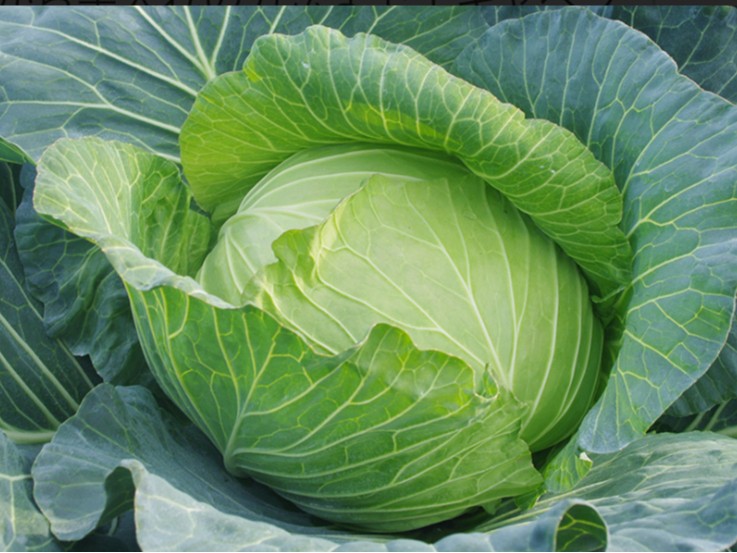 r^~Cr^~ULxň݉߂H׉߂ŏ񂾈ݔS̏CAݒᇂ̎ÂɌʂ܂B