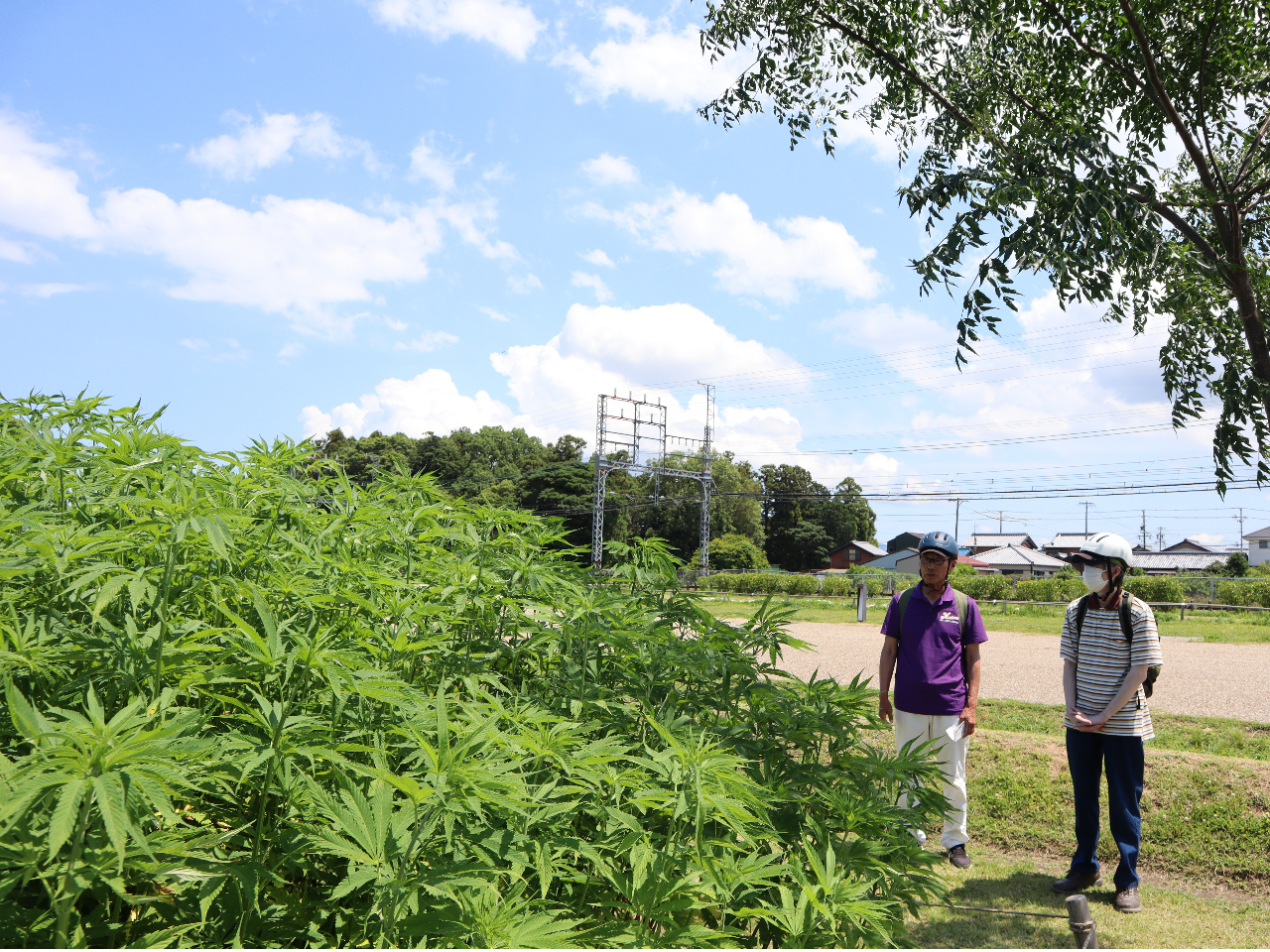 �_�Ђ̂��ߓ�₨�D�Ɏg����u�ɐ����v�͔̍|�n�ŁA�ŋ��̐��߂̗͂�m��܂��B