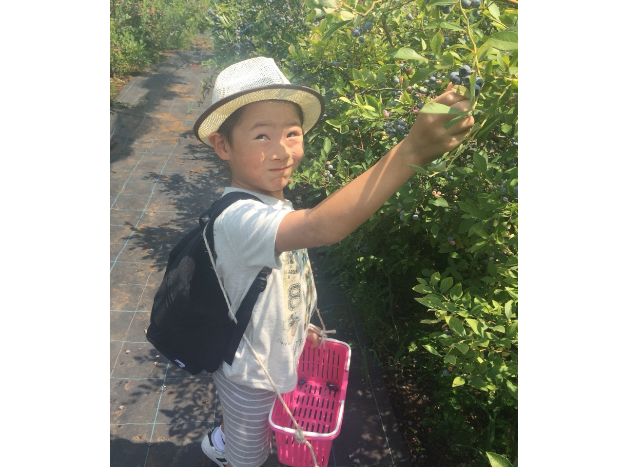 qłEݎ₷ɁAʎI肵Ă܂