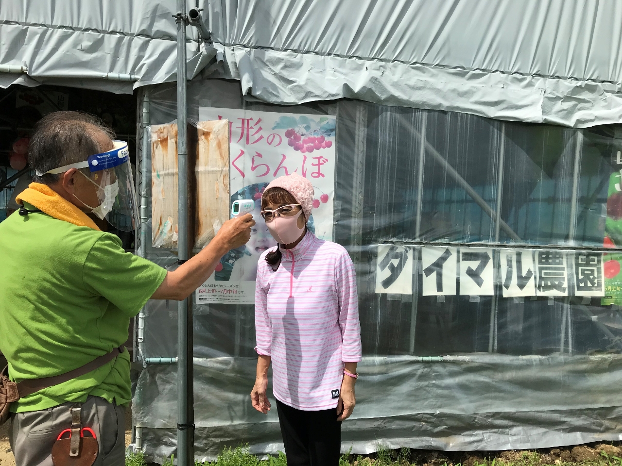 mRi΍{nK肢Ă܂̂ŁA͂̂قǂ낵肢܂I