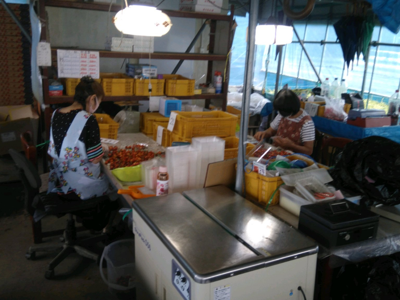 ЂƂЂƂAS߂ăpbNɋl߂Ă܂ipbNlߕij