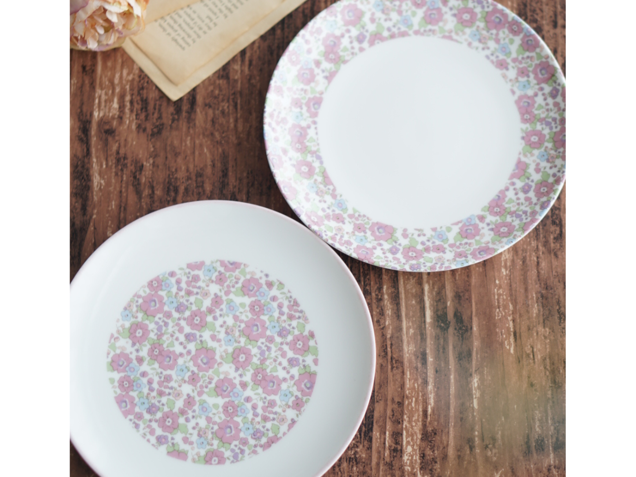 ێM18cm̓P[LMAMɂ҂Ȏg̗ǂMł