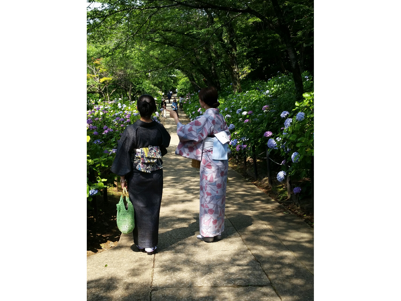 kwɂ{yij܂ŎU֍sꂽqlB