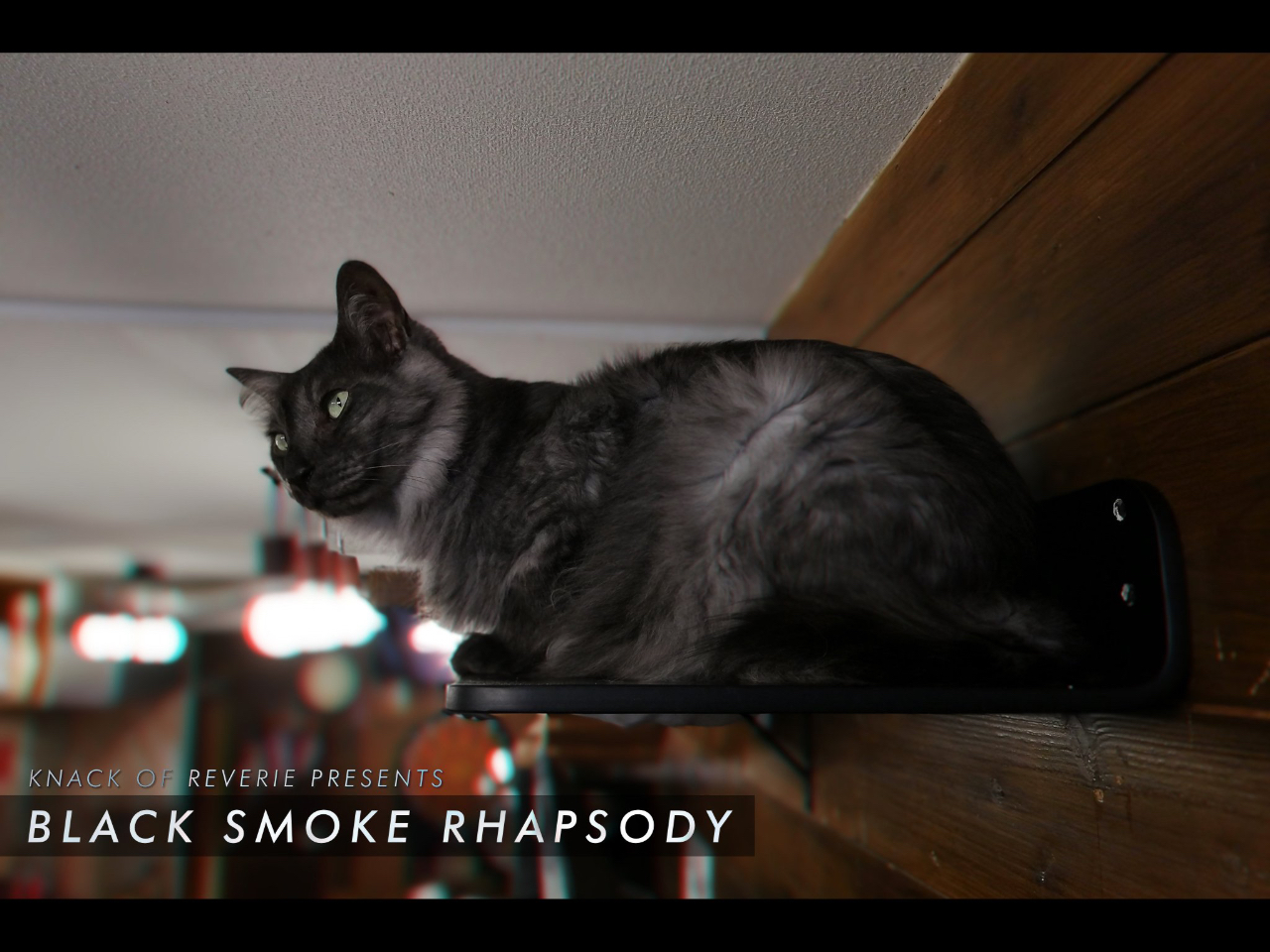 【平日限定】1時間1500円(ネコたちのオヤツ付き)コース!