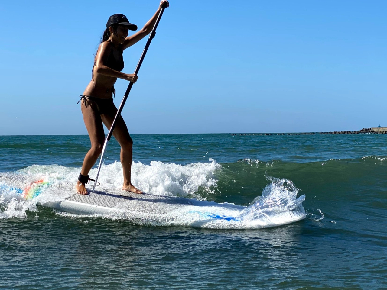 n߂΂̓łgŔg̗Kł܂B