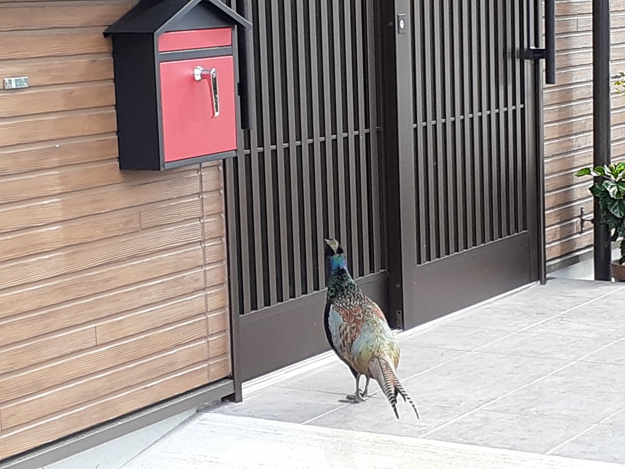 RLIH@쐶賂VтɗĂ܂I