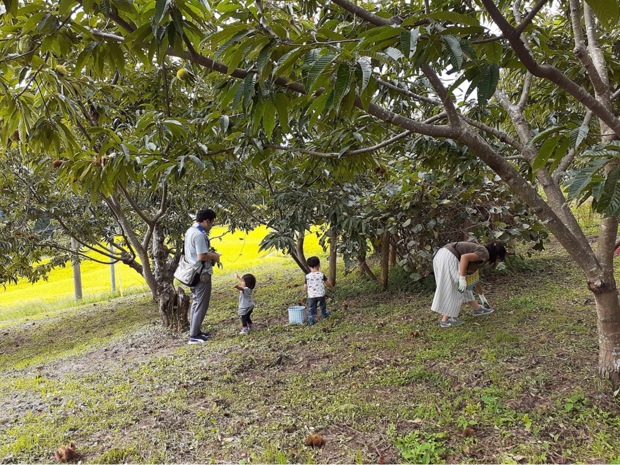 q傫ȌIɂтIϊł܂ ^o^