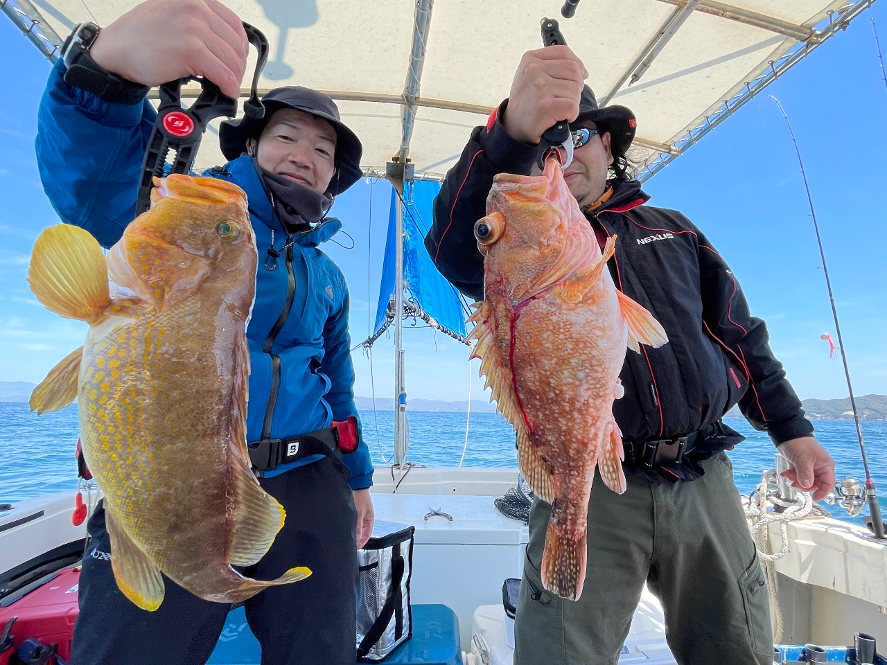 ジグ20本　ケース付き　船釣り 高知県・釣って、泊まる。すくもBOXファミリー船釣りプラン！宿泊付き