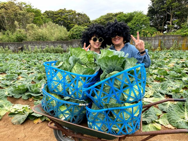 【3/15(日)限定!】みんなで苗を植えたアフロきゃべつを収穫しよう!!【千葉・...