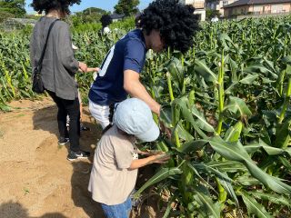 小さなお子さんでも簡単に収穫できます!