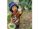 可愛いお子様がパックパック食べて頂けるのが園主の癒しです。未就学のお子様は無料です