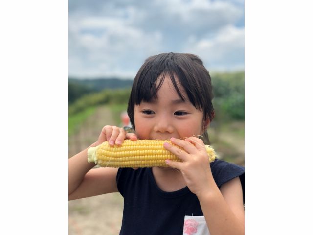 21年度は休園です とうもろこし狩り あまくてジューシーなのでその場でも食べれます コロナ対策実施 ファミリー 女性におすすめ よっちゃん農園 じゃらん遊び体験 21年度は休園です とうもろこし狩り あまくてジューシーなのでその場でも食べれます コロナ対策実施 ファミリー 女性におすすめ よっちゃん農園 じゃらん遊び体験
