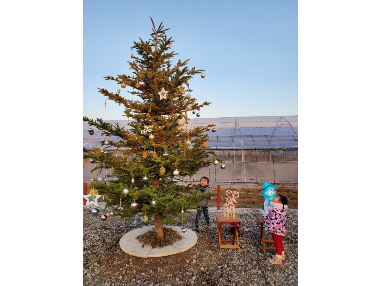 季節にあった楽しみ方ができます。