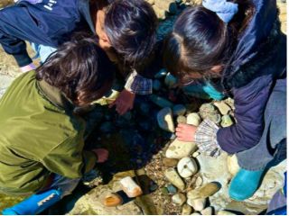 海の産物に触れましょう♪