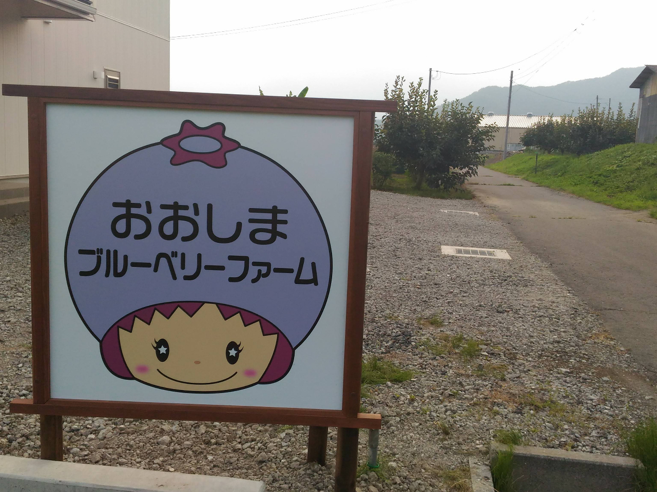 ���̊Ŕ��ڈ�ł��I