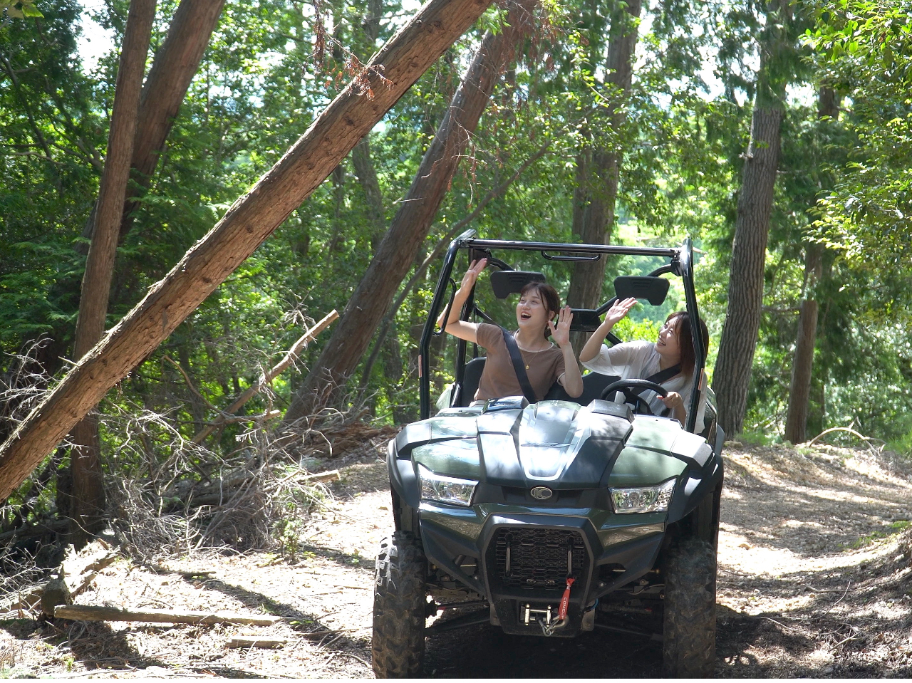 ^oM[ŁA{iIȗѓR𑖂܂