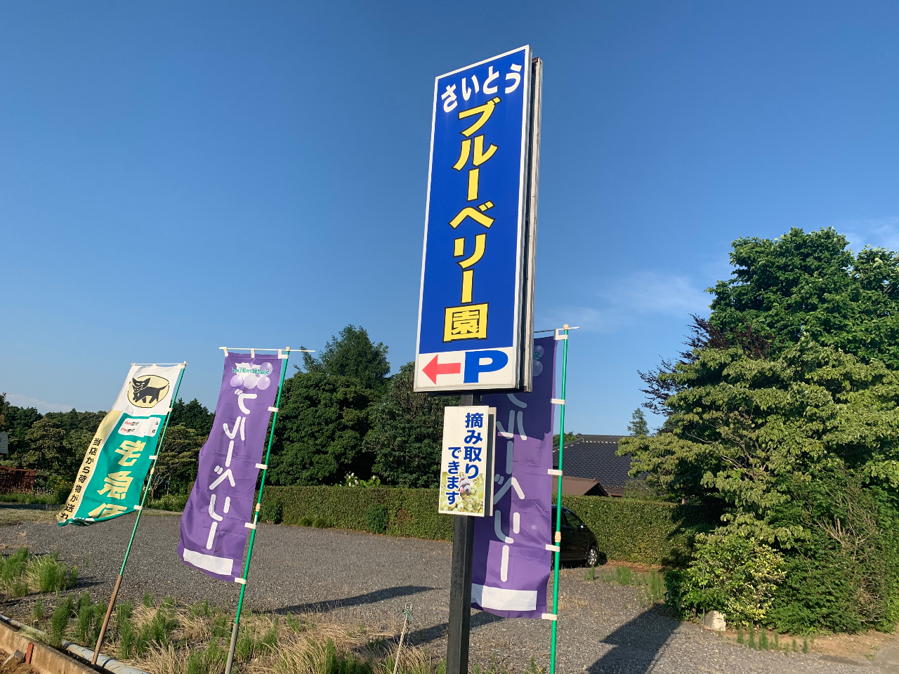 ���̊Ŕ��ڈ�ł��I���C�����Ă��z�����������I