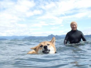 僕と一緒に潜りましょう