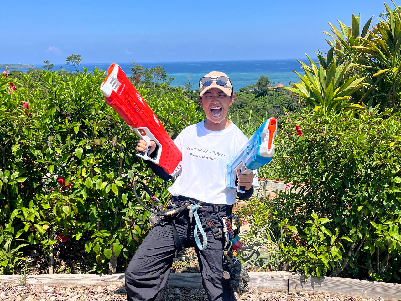 EH[^[^OIŐV̐SCœIăogłII