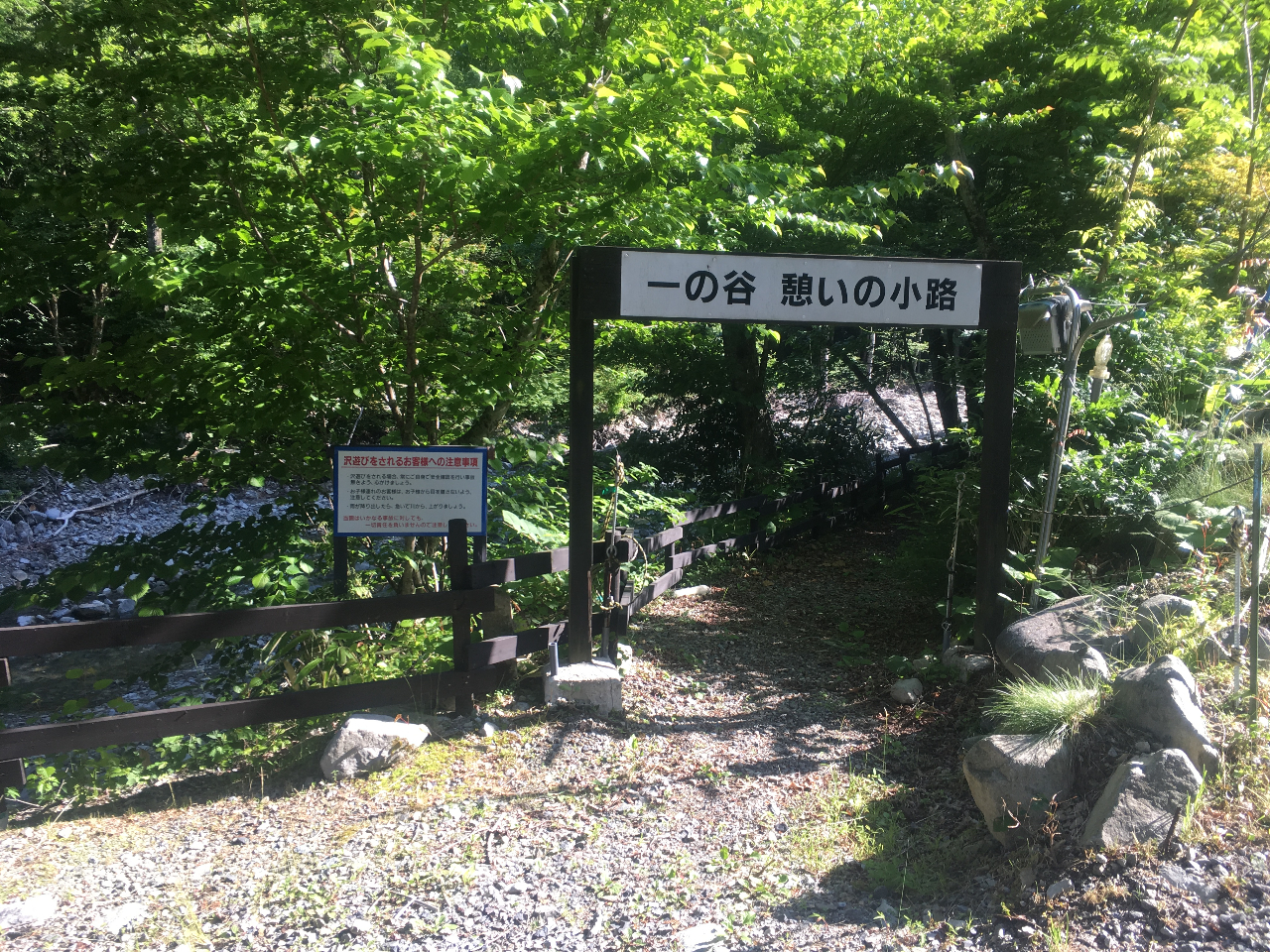 �V�������� ����