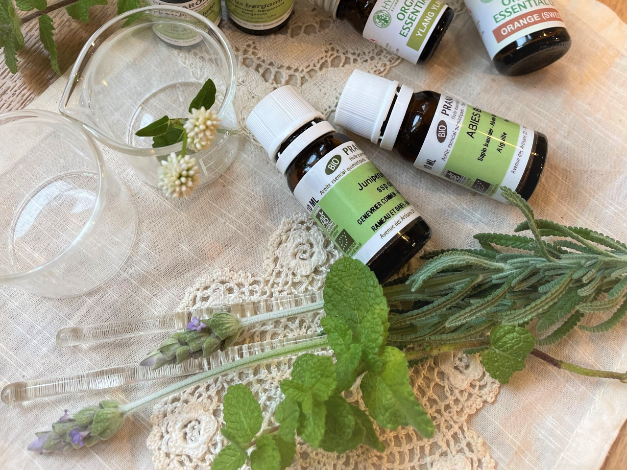 S₳A}̍`ÃbZ[W󂯎܂傤