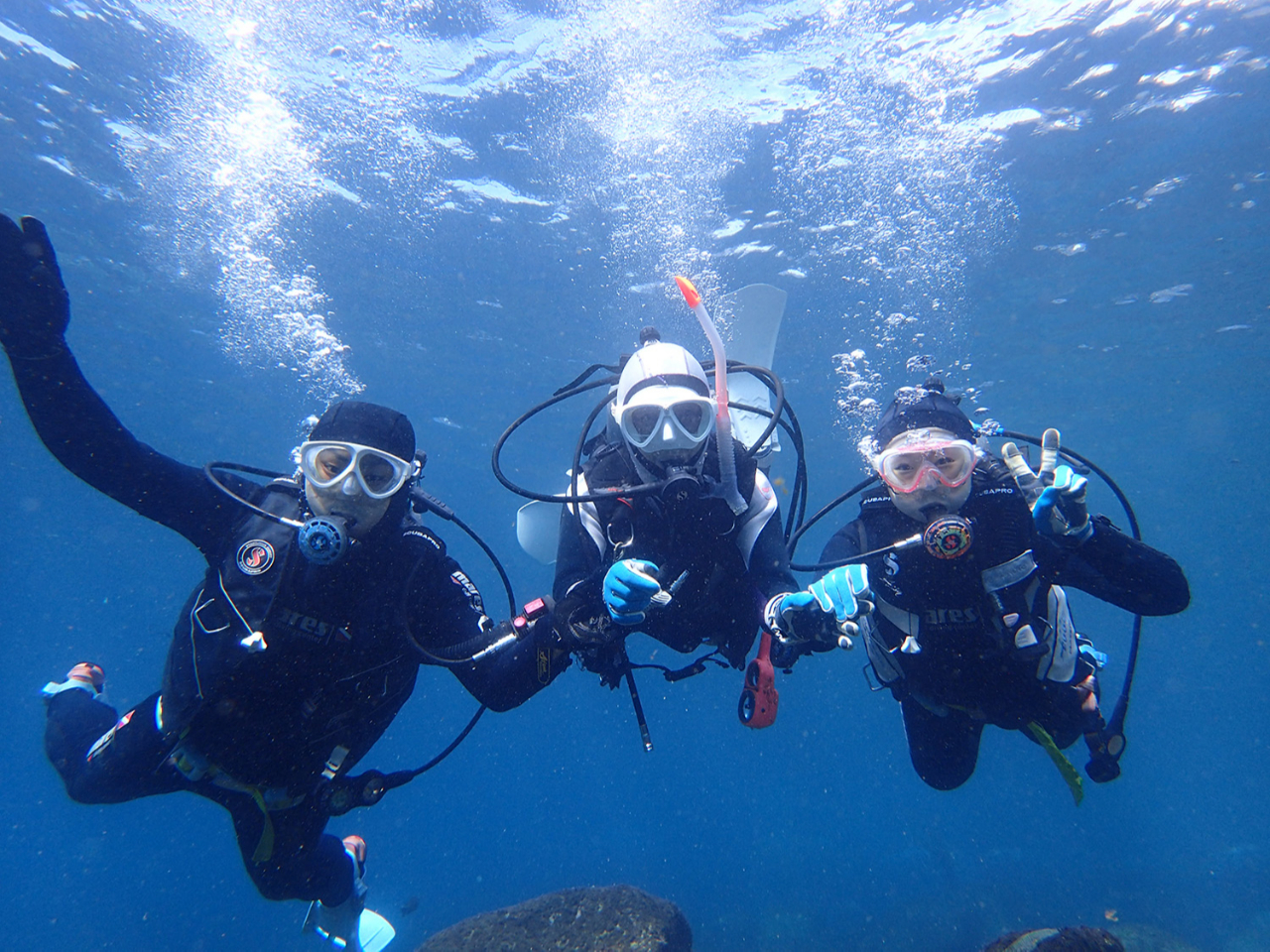 lA߂Ă̕łg̃y[Xő̌ł܂