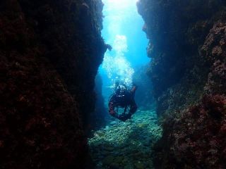水中地形も見所です