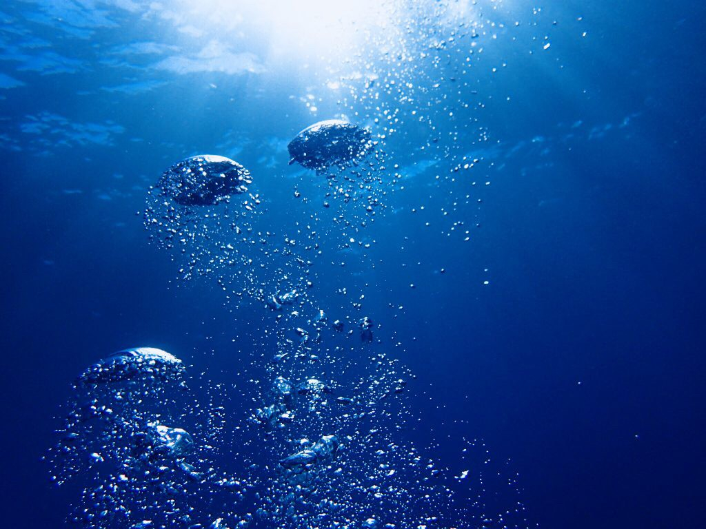 光の差し込みに吐いた泡がとっても映えますよ♪