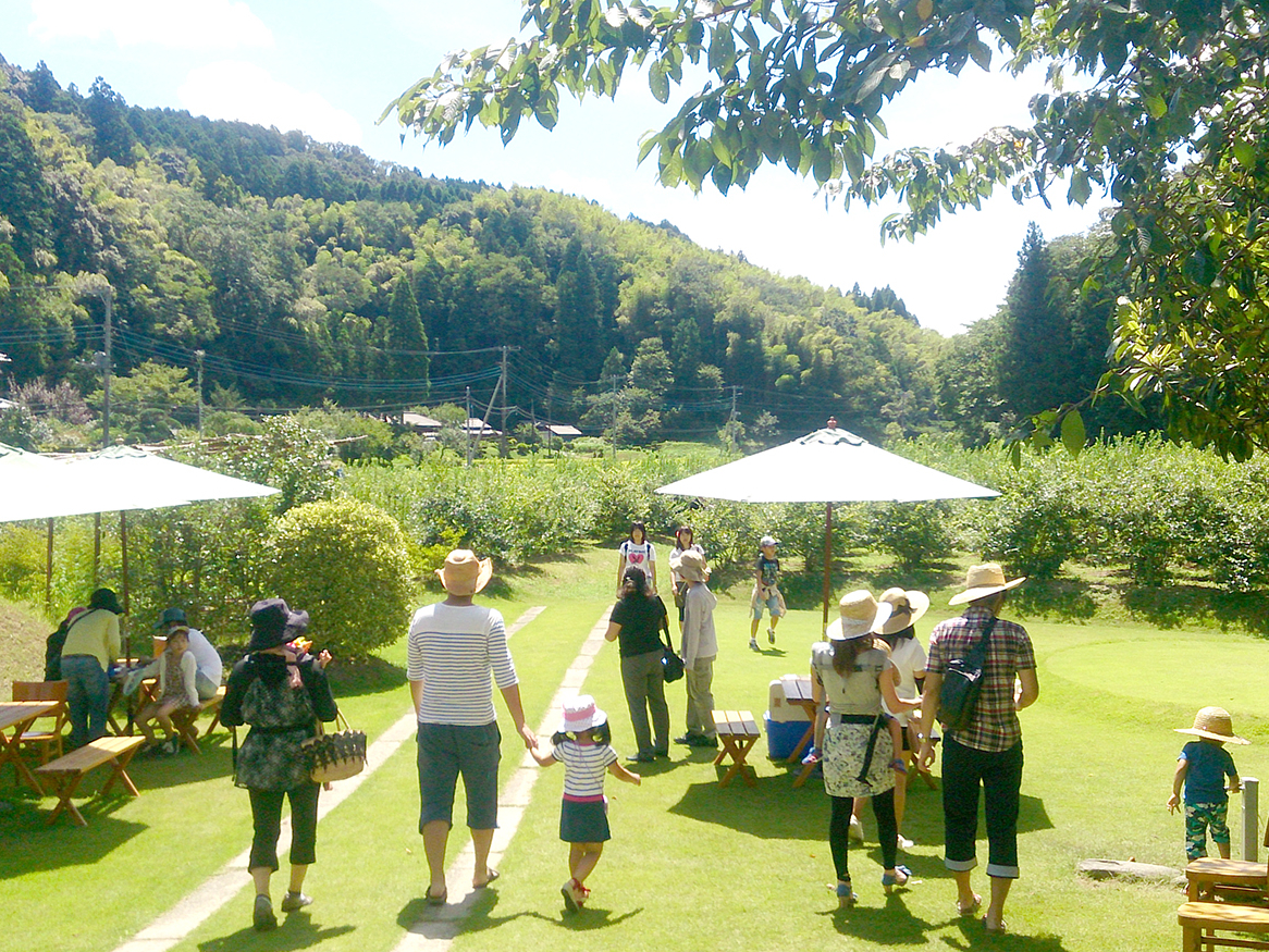 2026年【木更津・時間無制限ブルーベリー食べ放題】寛げる広場や冷房付きカフェも...