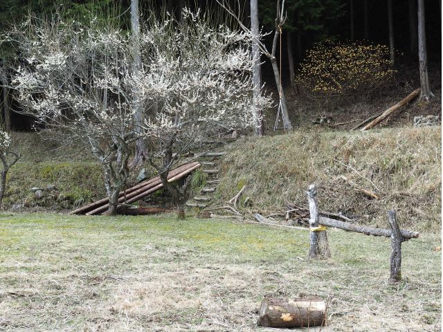 工房の裏の基地