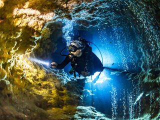 地域共通クーポン対象 プレミアム水中撮影プラン プロ水中写真家の撮影 ガイド 那覇発 ケラマ諸島3 Dive じゃらん限定特典 Dive Travel Flare じゃらん遊び体験