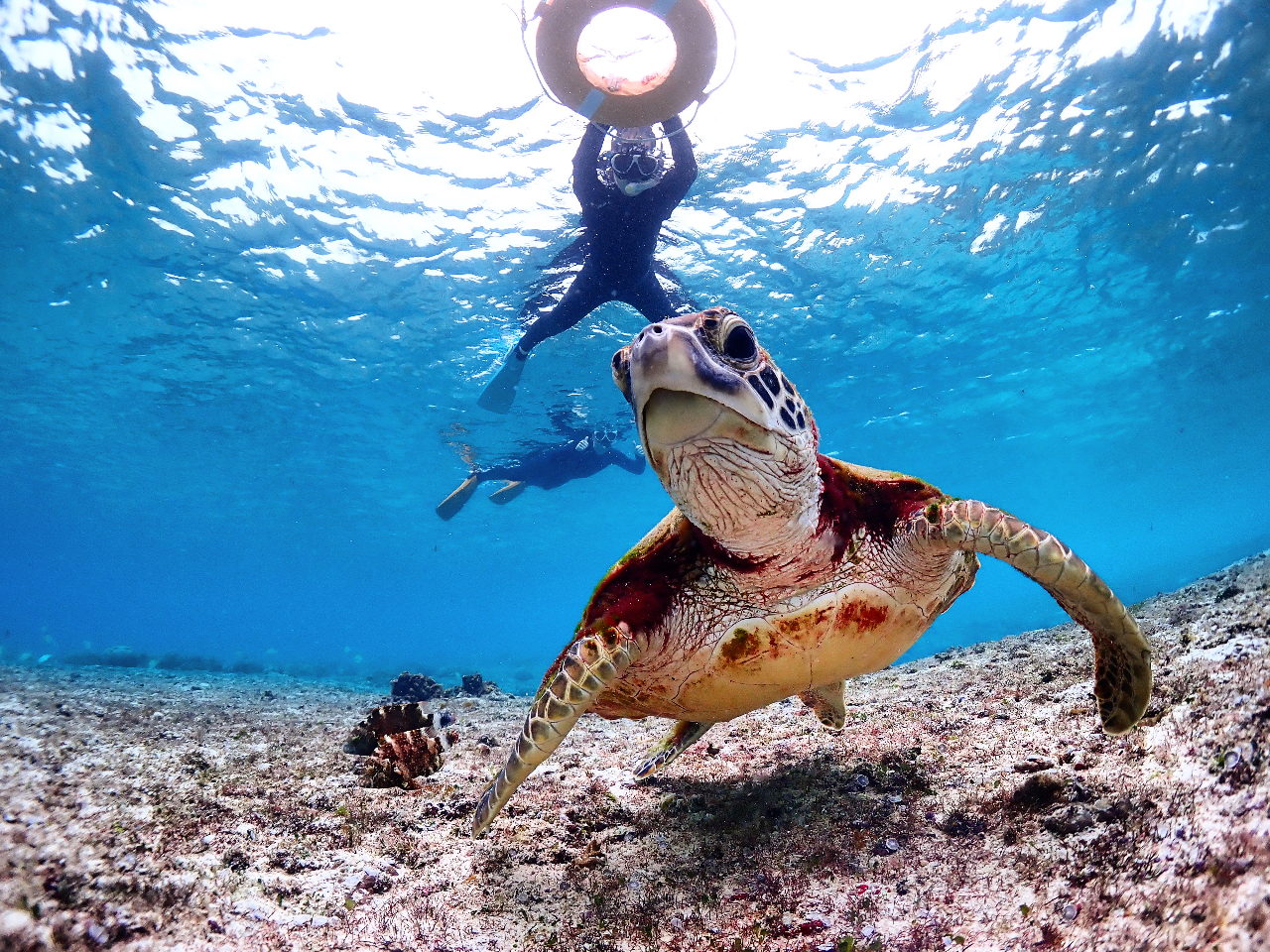 Pgݐ؂ґVm[POEFbgX[c@ނ͑SĖ^Iǉ͈؂ȂI