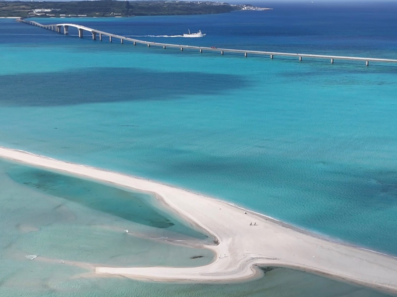 �����̎��Ԃ�������錶�̍��l�����j�̕l��