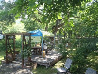 体験終了後は冷たい麦茶を用意しています。裏子供たちに大人気の「木登りデッキ」や「ザリガニ池」があるので+αの思い出つくりにどうぞ。釣りセットレンタル無料です。