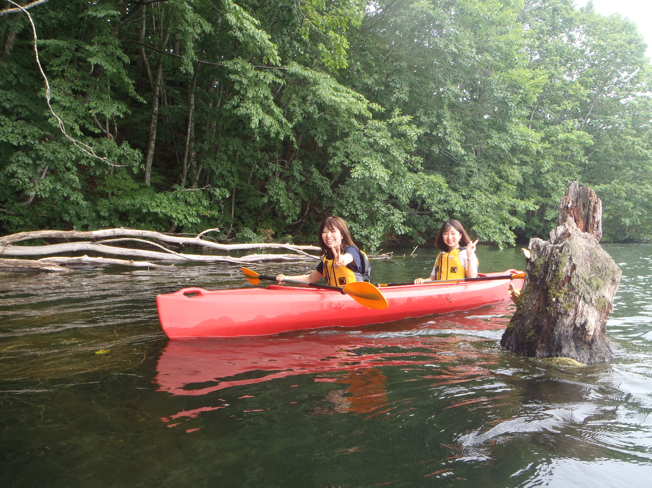 障害物が多い「立ち木エリア」は二人のタイミングが重要。息を合わせて微速前進!