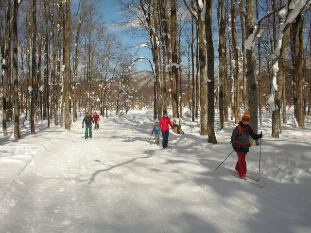 整備されたコースで初心者も安心です