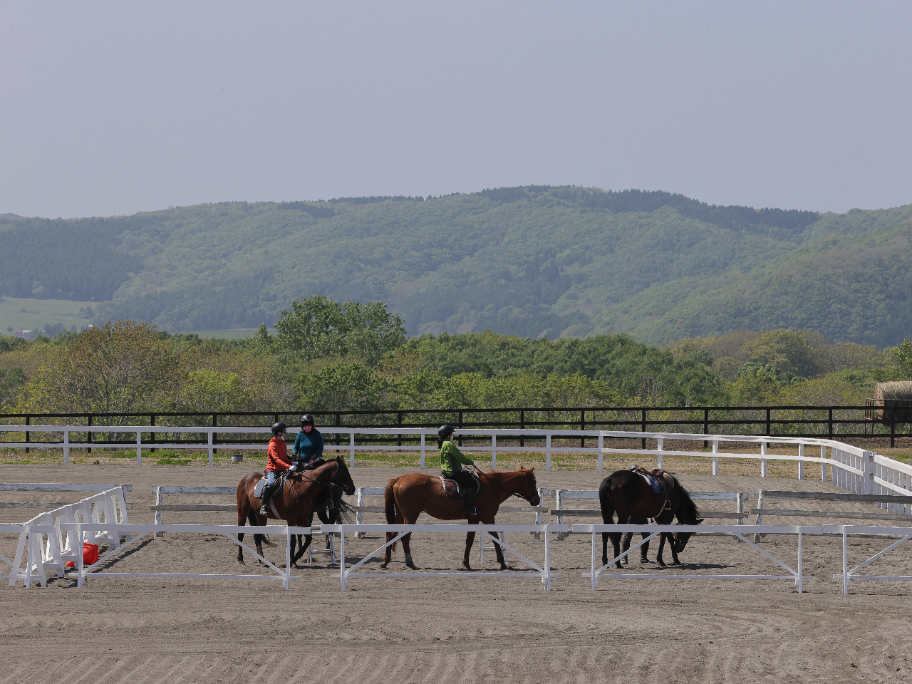 VC̗ǂ͒߂̗ǂLȊO̔nŗK܂