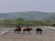 天気の良い日は眺めの良い広大な外の馬場で練習をします