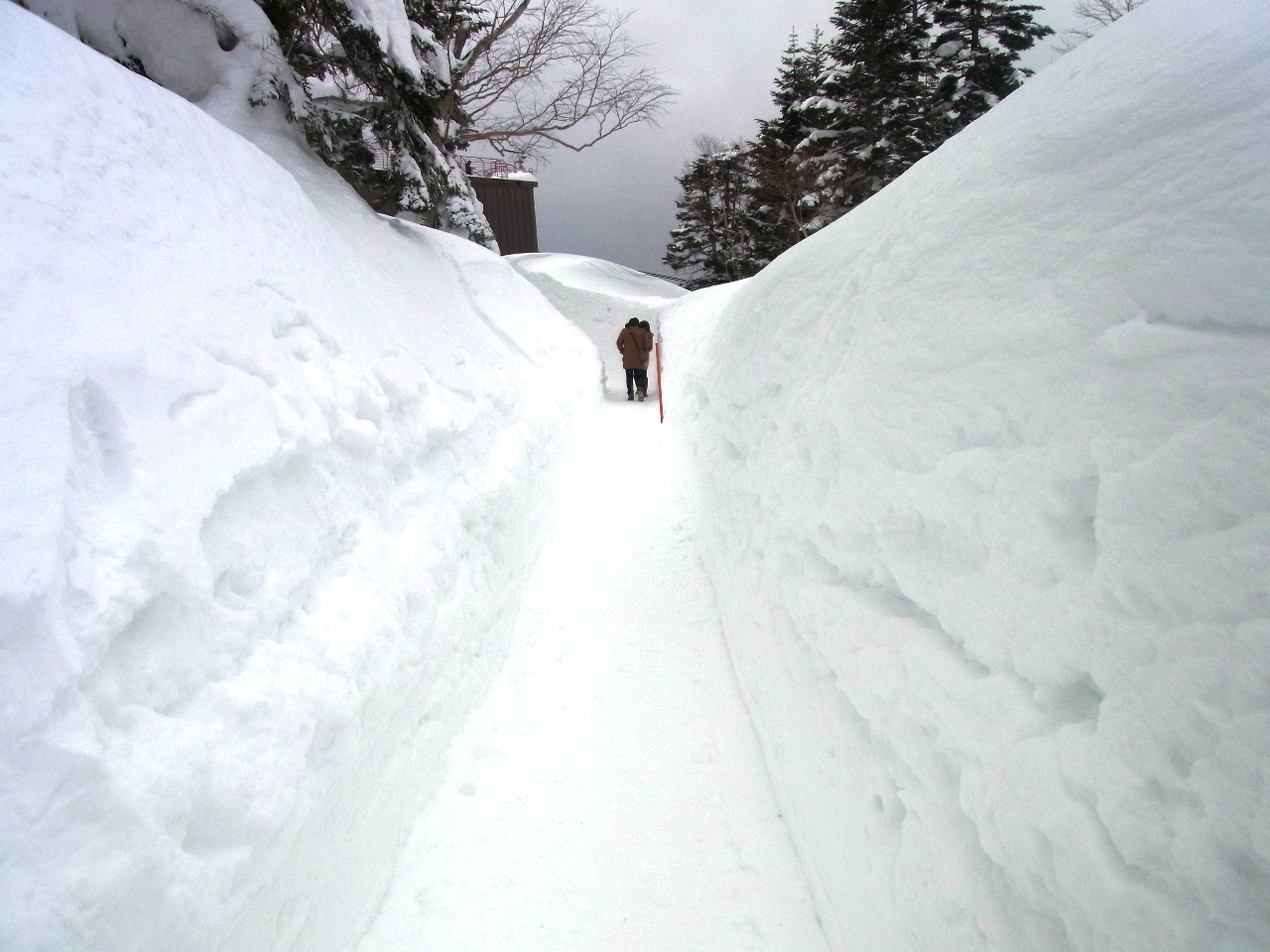 �y��̉�L�z�~�̕������A��ʔ���̐��E���L���茶�z�I�ȕ��͋C���������݂��������܂��i�ϐ�󋵂ɂ�肨�����݂��������Ȃ��ꍇ�������܂��j