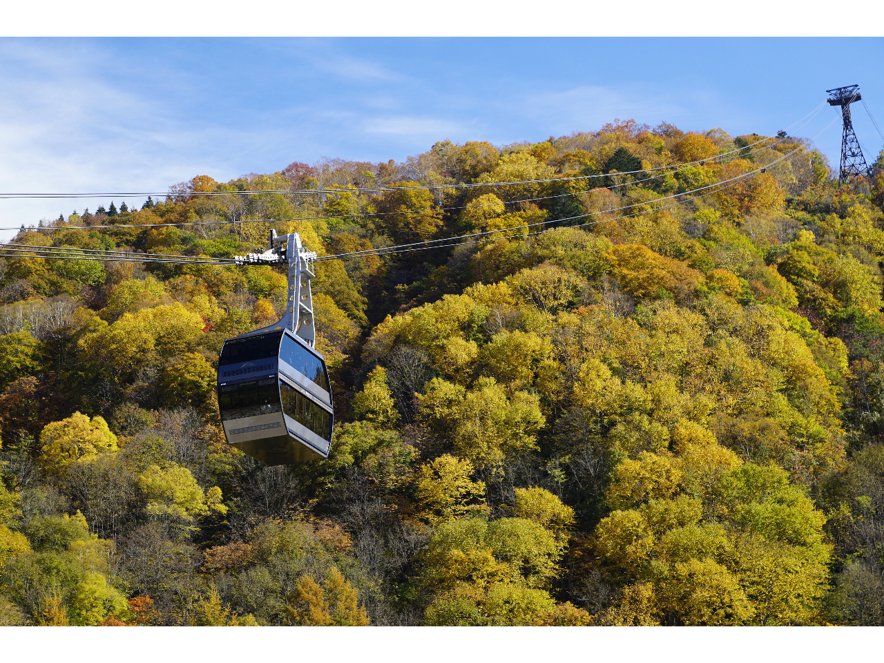 y{ŗB2KăShz2156M̐i܂ŗ΂O~̏󒆎U