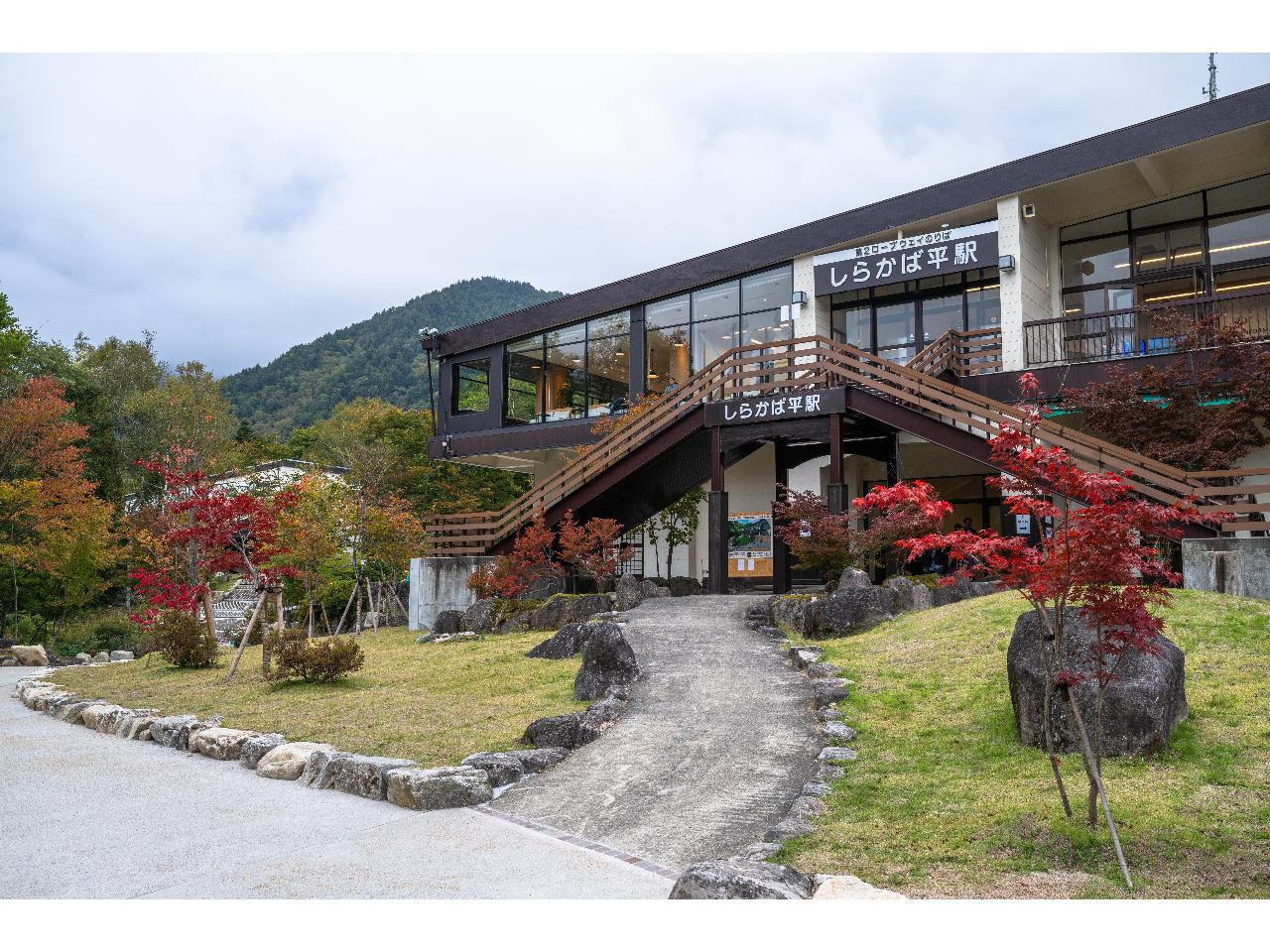 y炩Εwz2[vEFCoDAvX̃pȂǂ܂