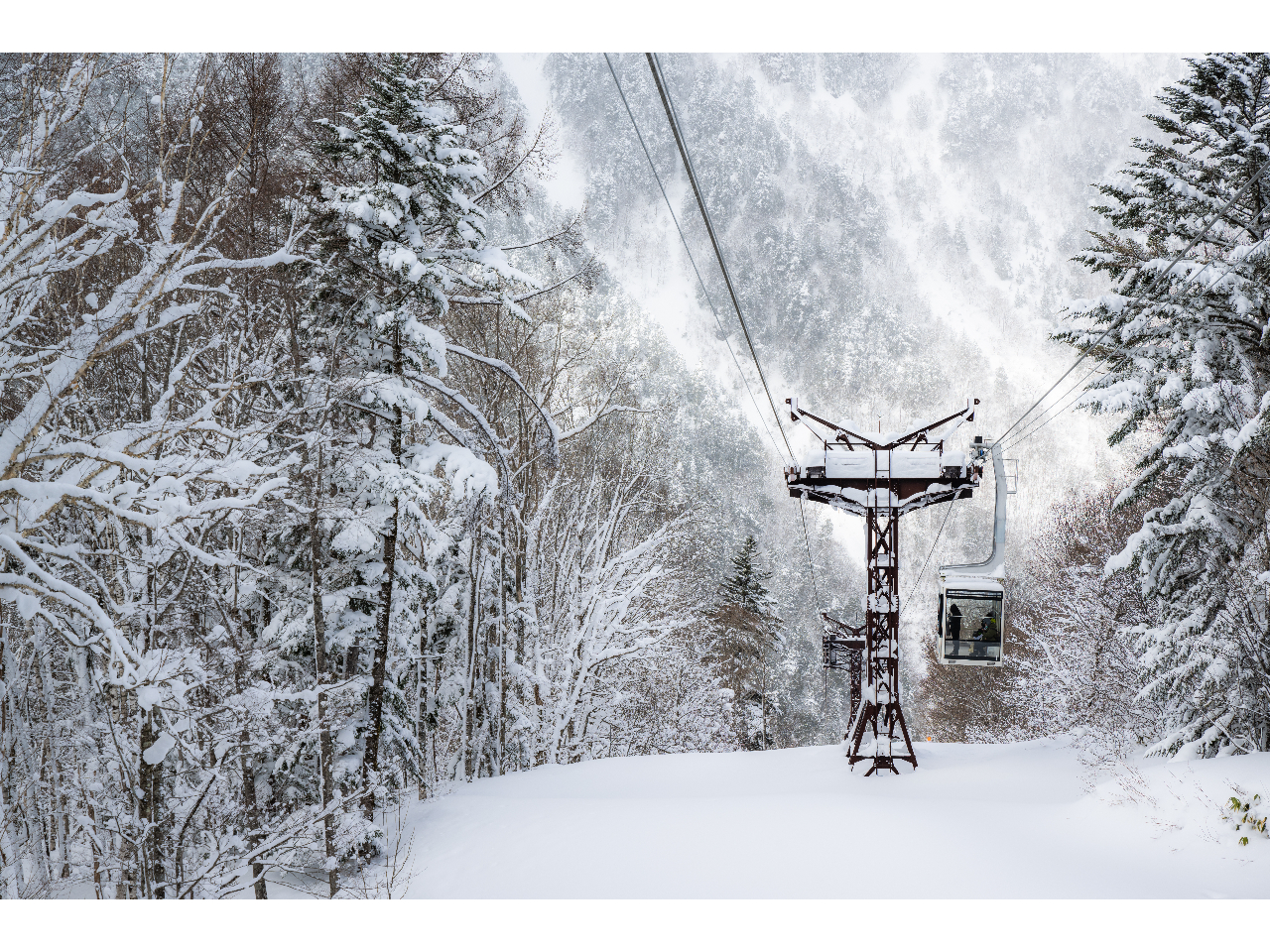 �y��1���[�v�E�F�C�z�����ɍL�����Ă�������O�~�̏���u�X�P���g���^�C�v�v�̃S���h���ŋ󒆎U�����������݂��������܂�