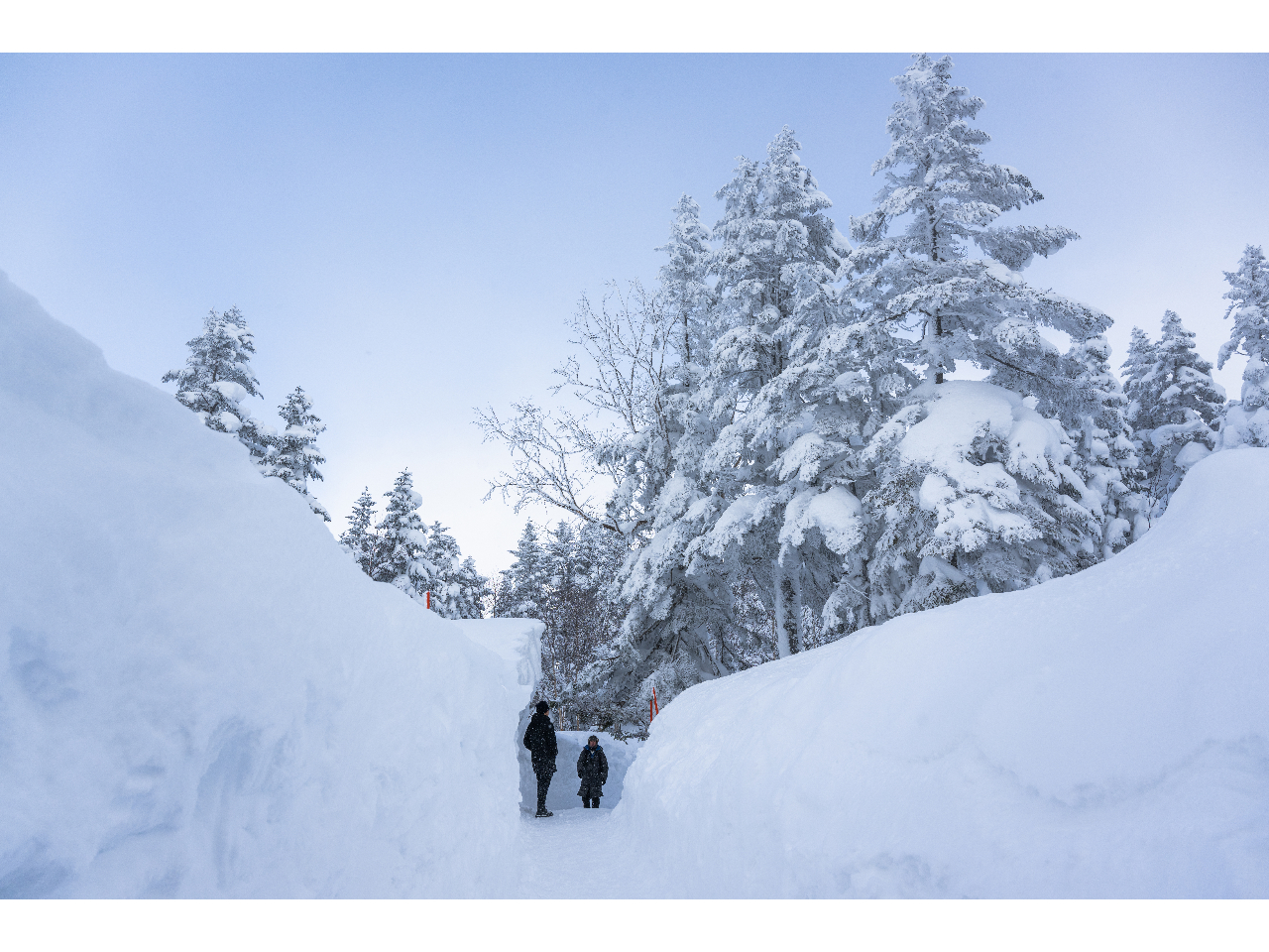夕方割【岐阜・高山】☆第1・第2ロープウェイ連絡往復乗車券☆日本で唯一の2階建て...