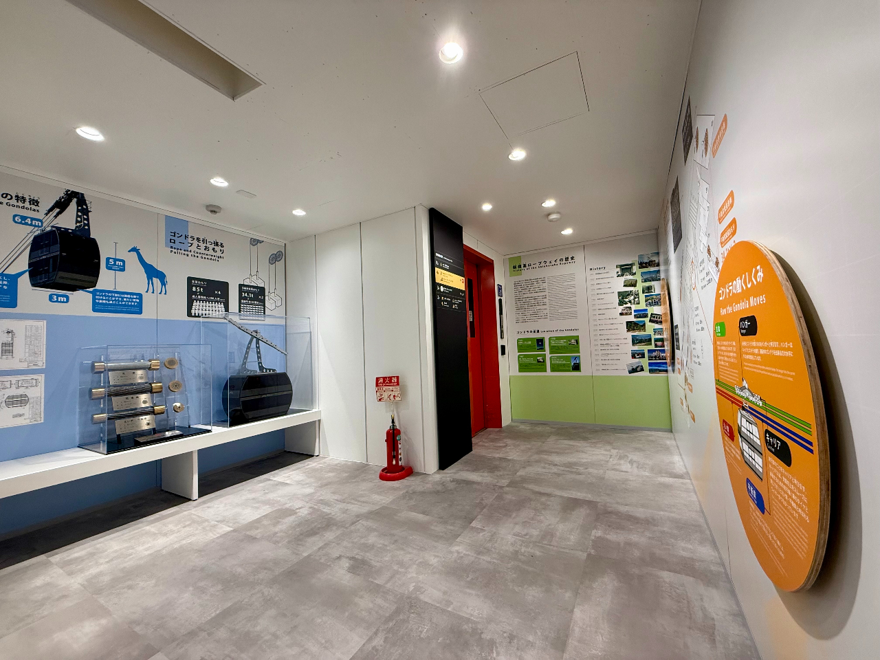 2025�N12��OPEN�y���[�v�E�F�C���{�z�V�䍂���[�v�E�F�C�̗��j��S���h���������d�g�݂��y�����A������₷���Љ��X�|�b�g�ł�