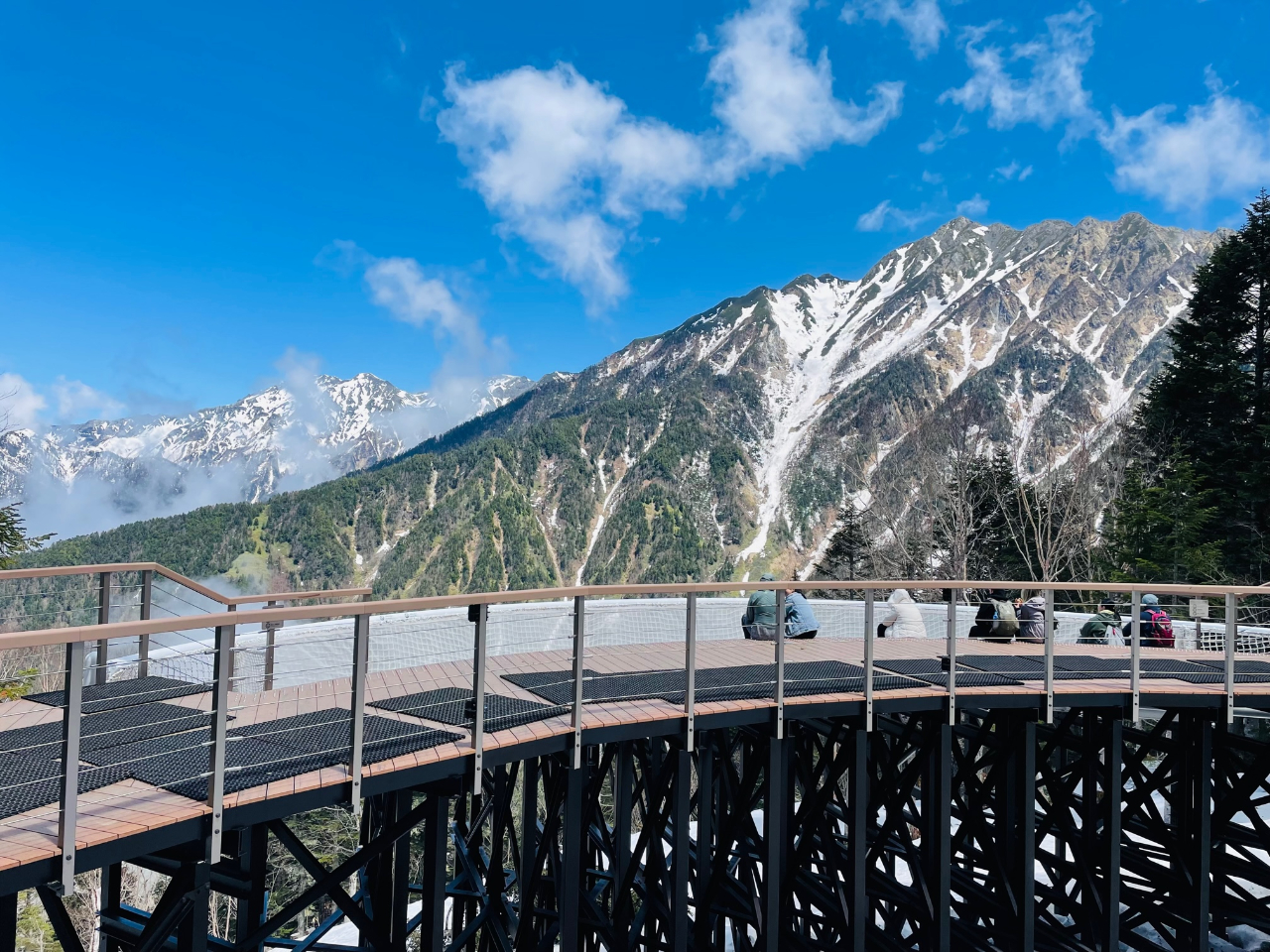 �y���̉�L�z����o�����W�]�f�b�L����͌��n������̐�i�A����̂܂܂̑厩�R���܊��Ŋ����Ă݂ĉ�����