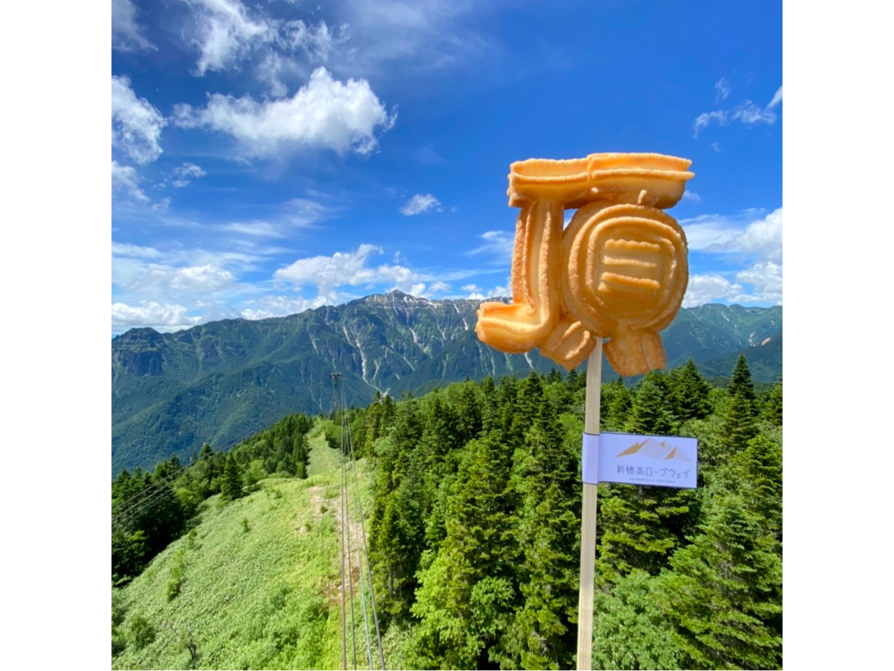 ☆お得~ポン☆<岐阜・高山>ロープウェイ連絡往復乗車券と1500円分のチケット付