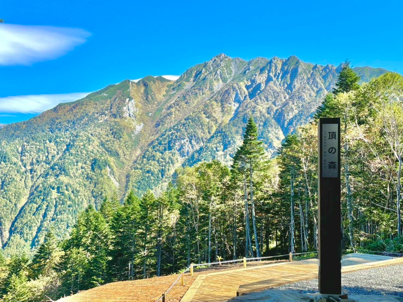 �y����̗x���z�s��Ȑ��䍂�A��𒭂߂�f�b�L�B�B�e�X�|�b�g������A���E�䍂�A����R�������镵�͋C���C�y�ɑ̌��B