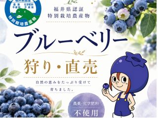 県内最大規模のブルーベリー畑