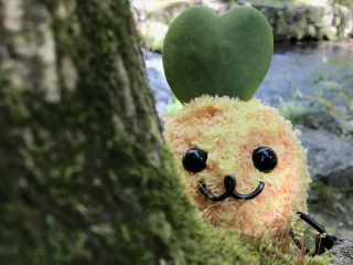 ひと回り大きなモスペット制作!2色のカラー糸を巻き替えることで、マーブル仕様に仕上がります!